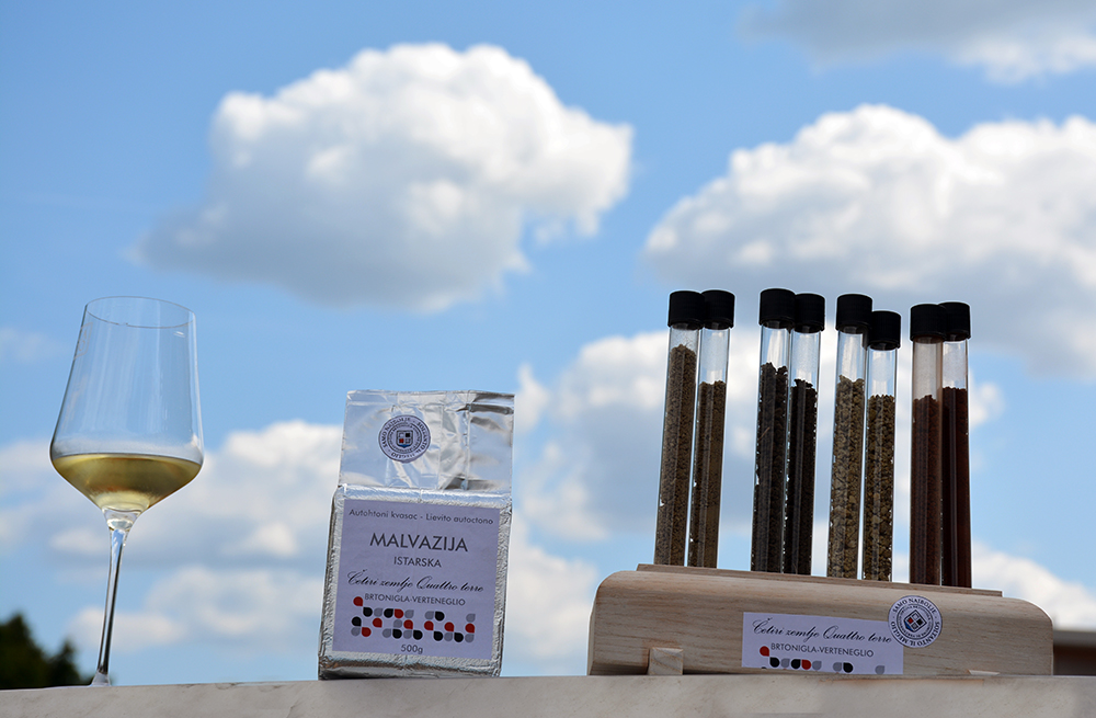 ča&scaron;a malvazije, kvasac malvazije, uzorci 4 vrste zemlje s područja Brtonigle