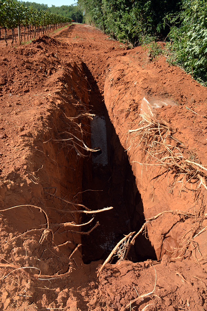 Anglomeracija Brtonigla (6)