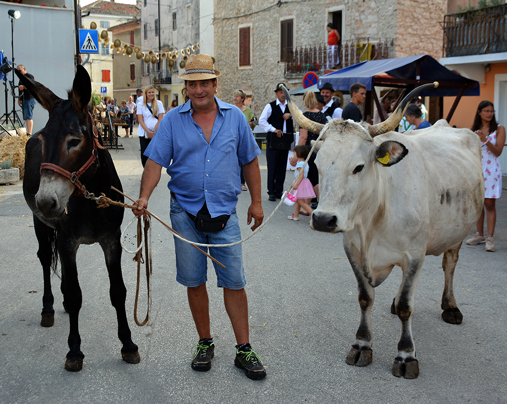Antonio Radin s magarcem i kravom  - resize