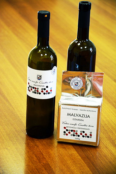 kvasci malvazije, boce malvazij (1)