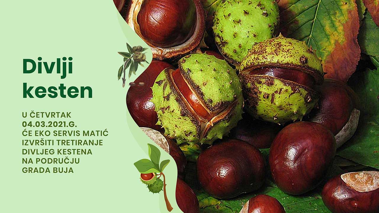 Obavijest građanima Buja