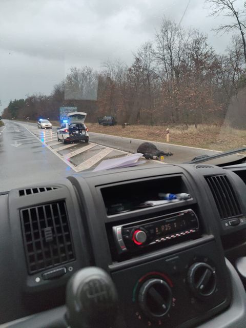 Prometna nesreća, magarci