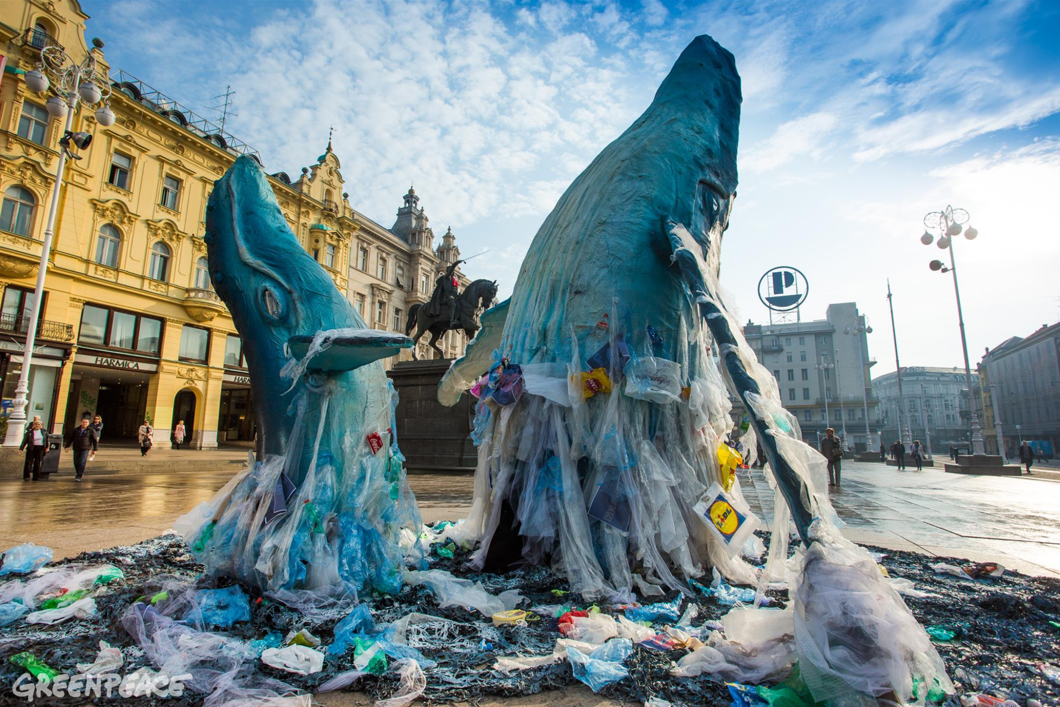 Kitovi dolaze u Istru