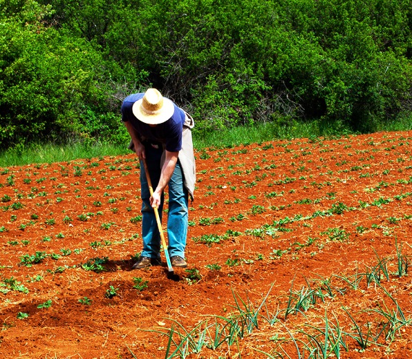 Istarski eko proizvod