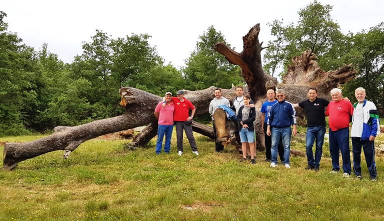 Na inicijativu Maria Sokolića u Dajli simbolično zasađene sadnice hrasta