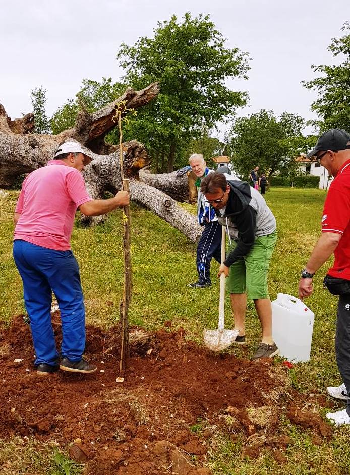 Na inicijativu Maria Sokolića u Dajli simbolično zasađene sadnice hrasta
