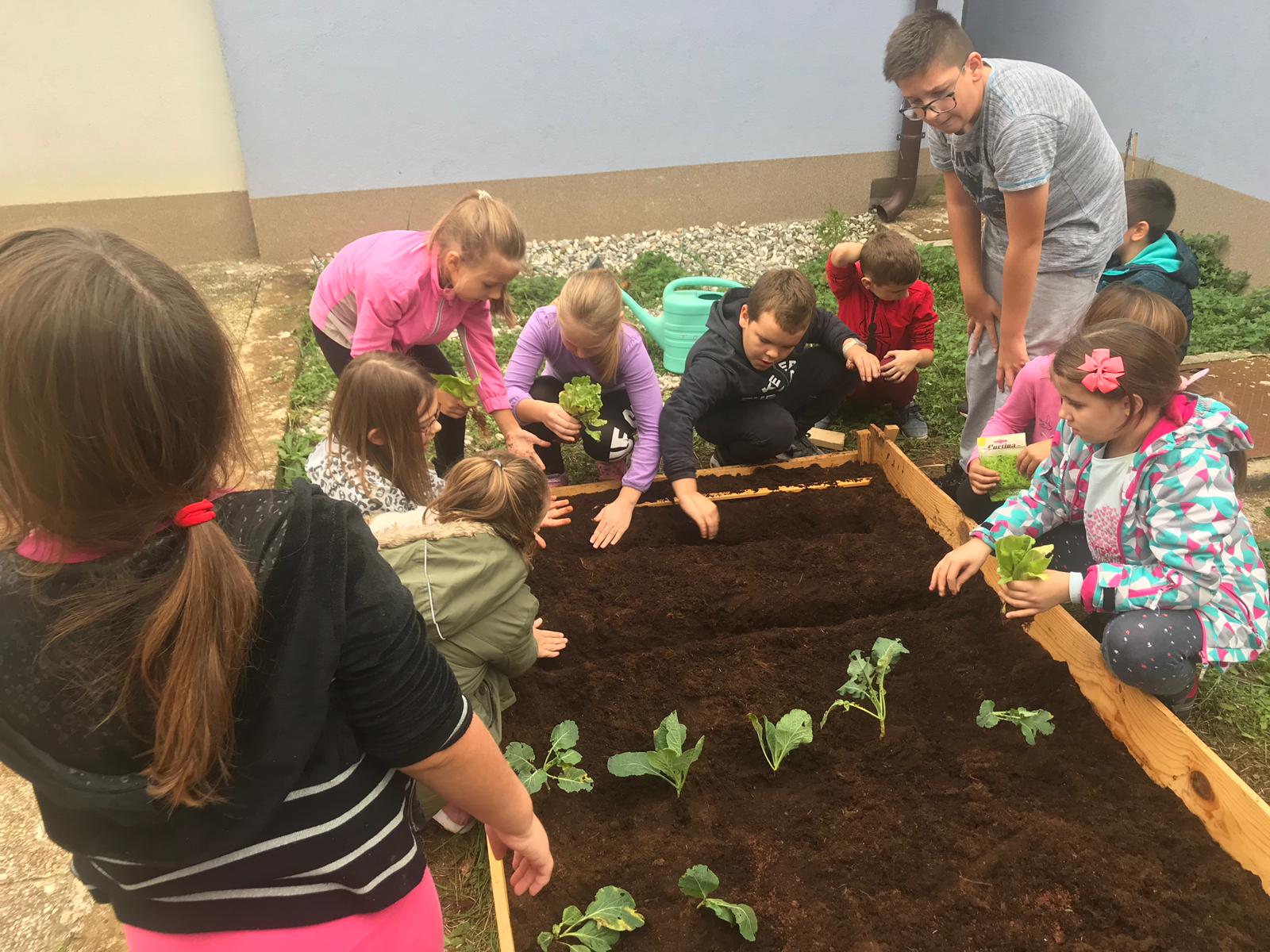 Novigradski &scaron;kolarci osmislili i uredili &scaron;kolski vrt