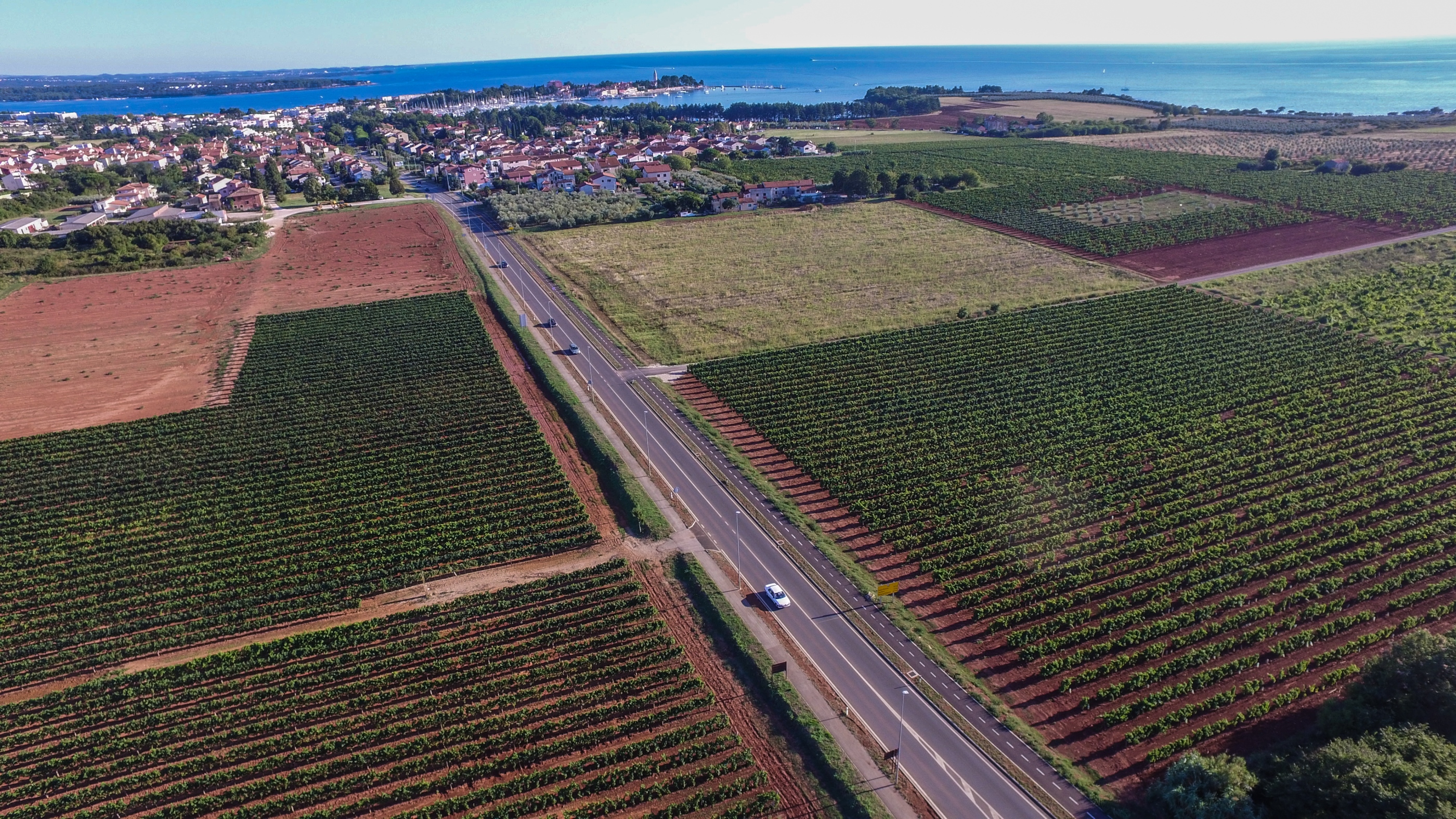 Raspisan natječaj za zakup visokokvalitetnog poljoprivrednog zemlji&scaron;ta na području Novigrada