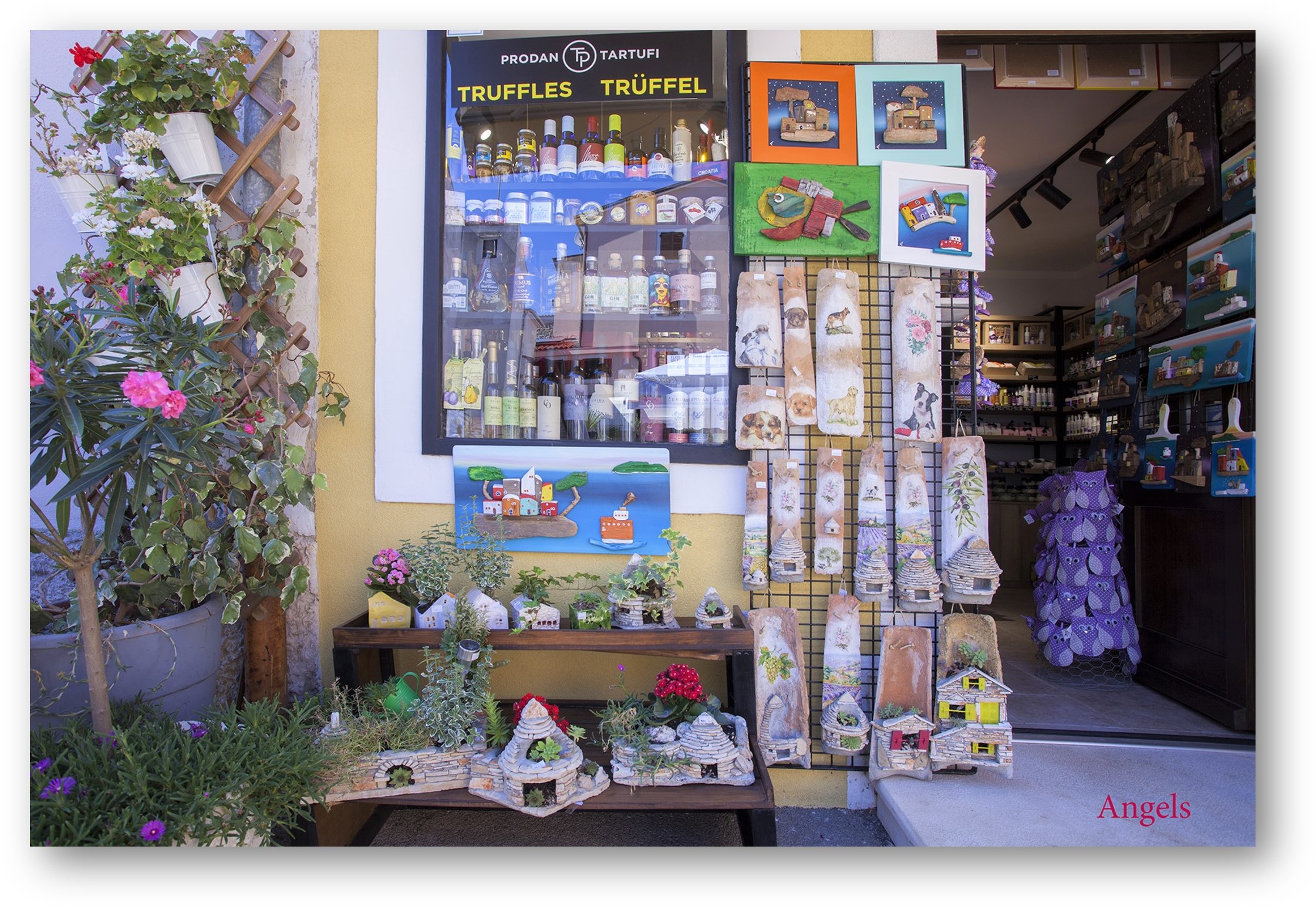 Najuređenija trgovina_Angels_2022