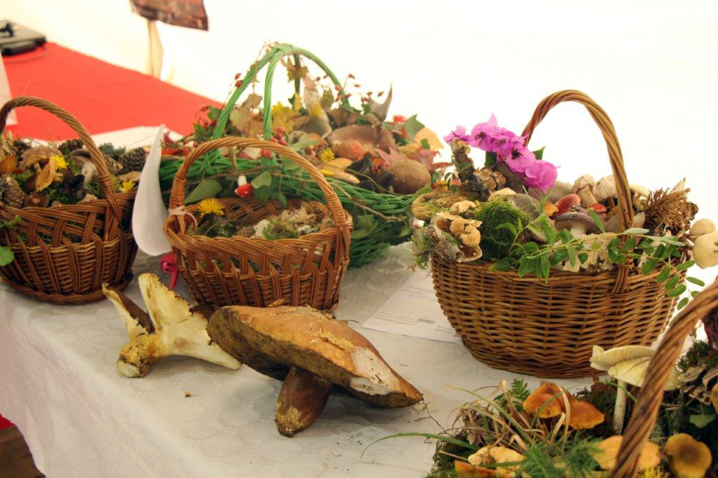 Dani gljiva 2022 Brtonigla 5