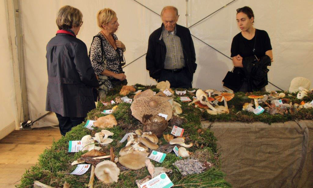 Dani gljiva 2022 Brtonigla 6