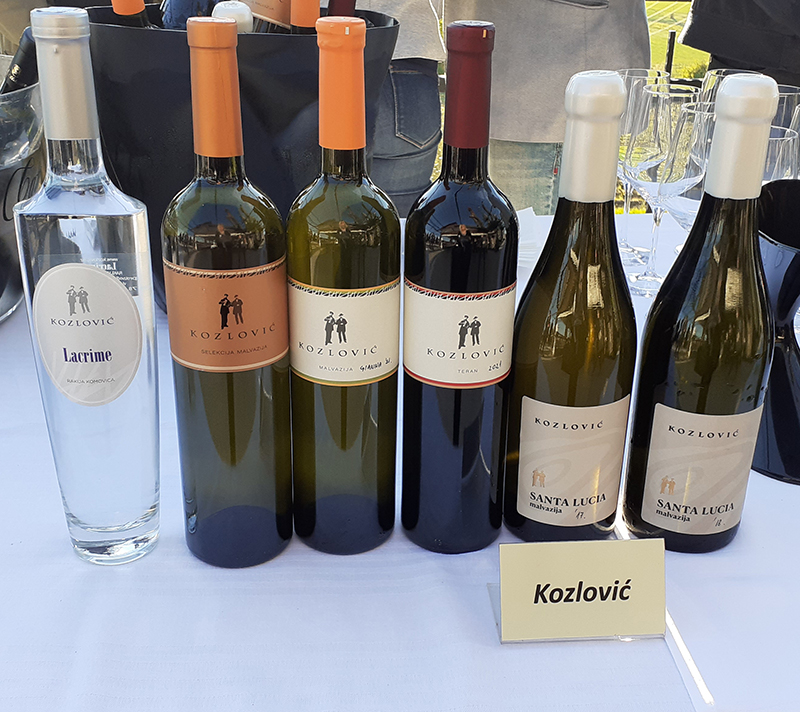 Vinari -vina Kozlović, Vinistra, 27-04-2022