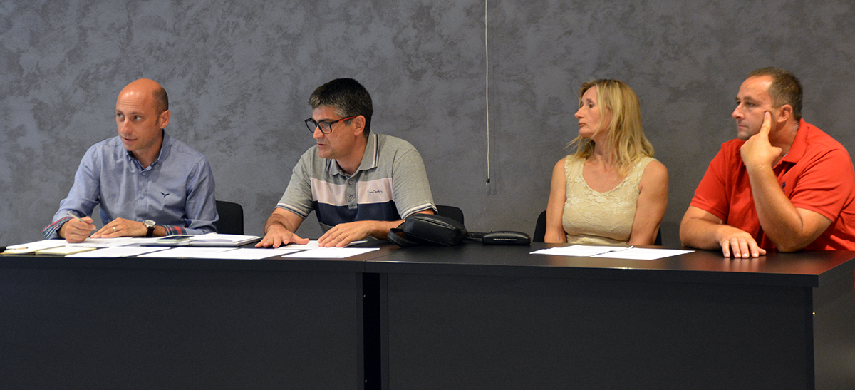 IDS BUJE radna skupina