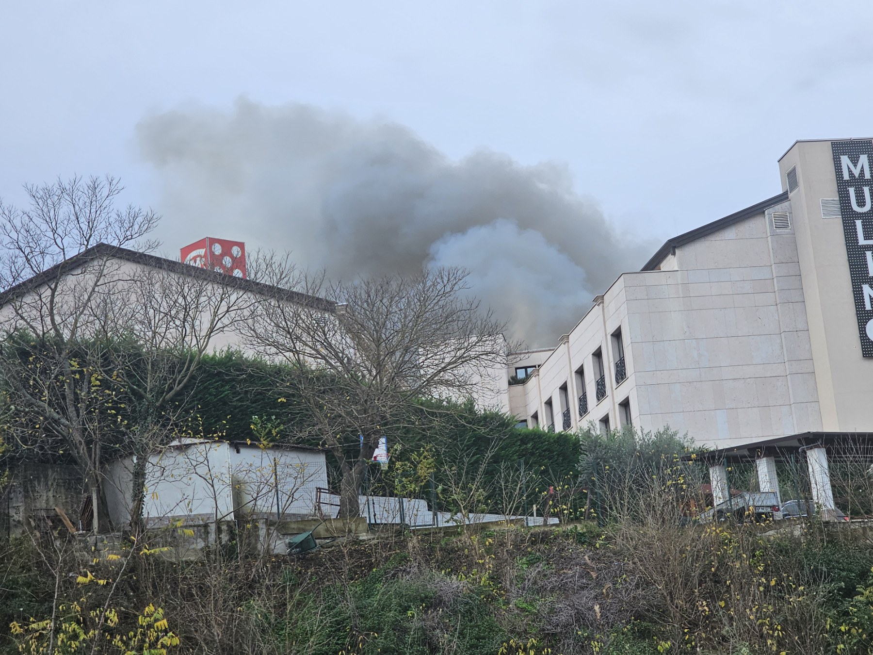 Mulino 20251121_093914