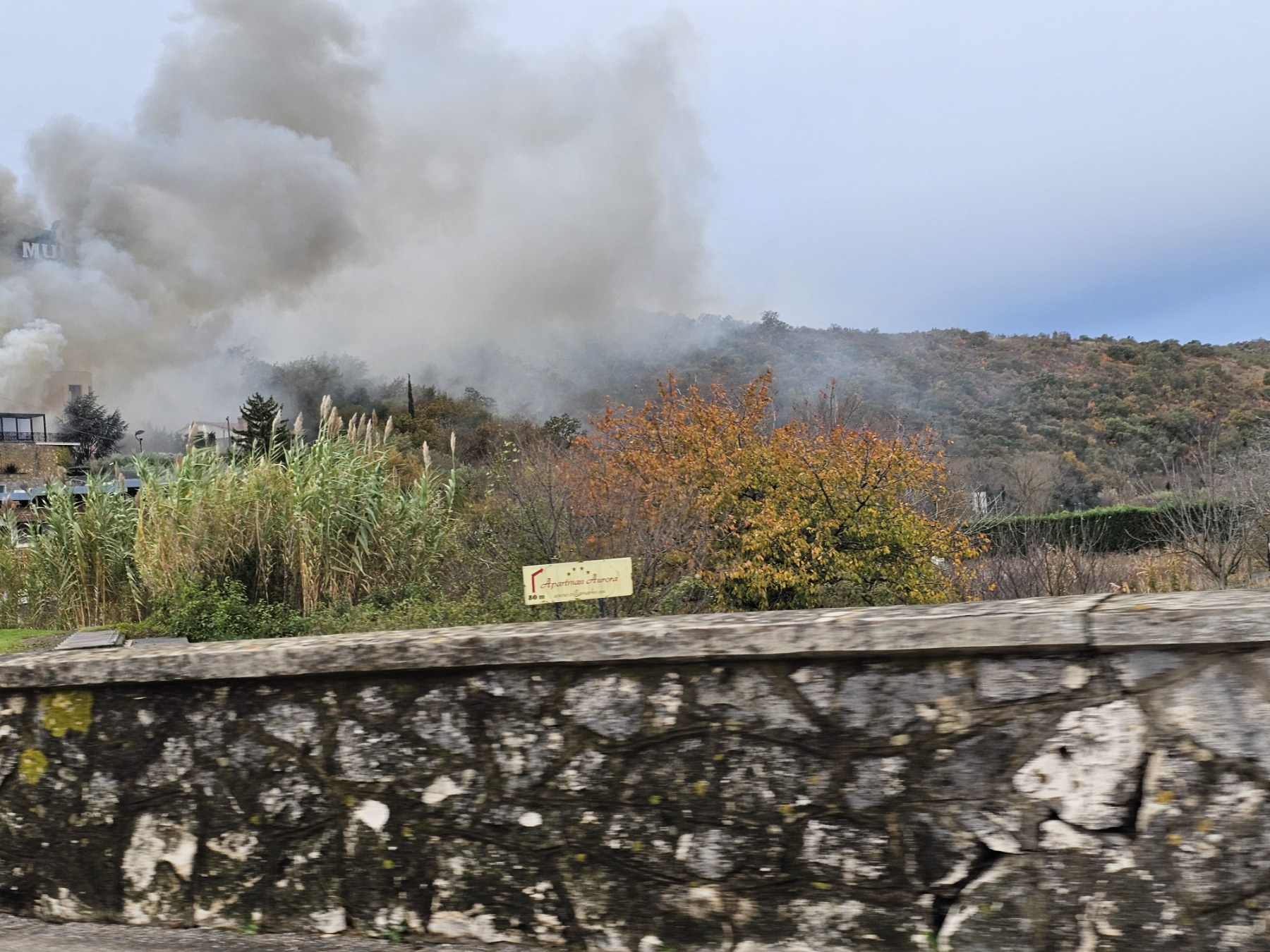 Mulino 20251121_093940