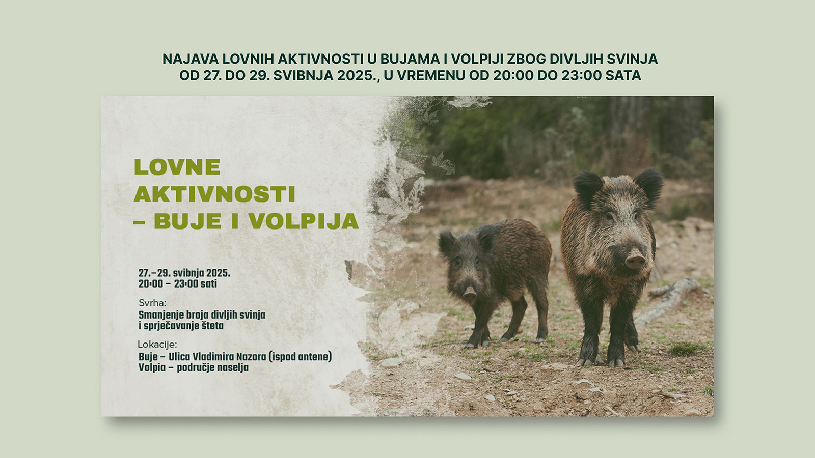 lovci-divlje-svinje-Buje-27-29-5