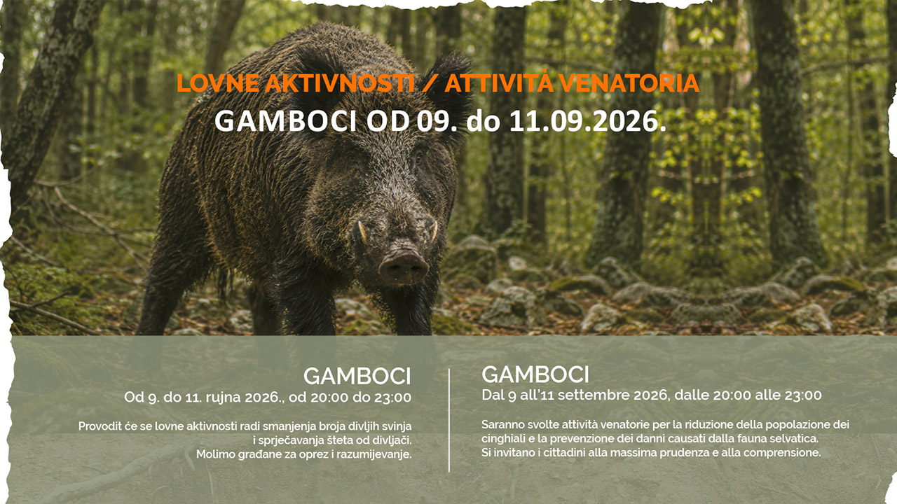 divlje-svinje-lovci-gamboci