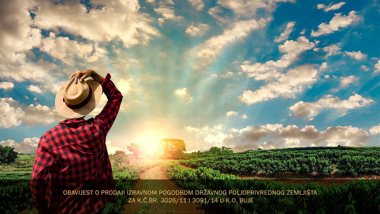 prodaja_zemljista_Buje