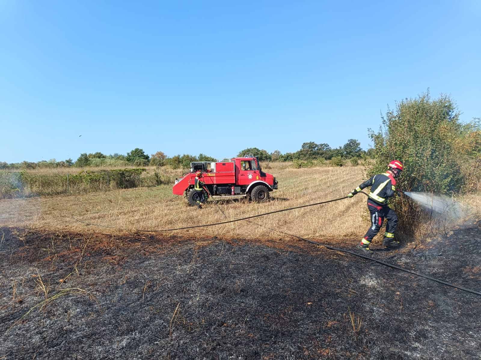 Vatrogasci Umag požar trave 1, 13-08-2024