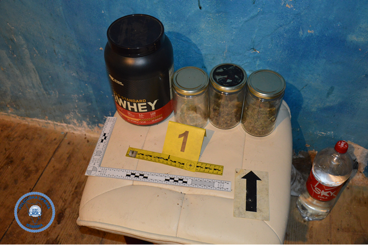 KONOPLJA VI&Scaron;NJAN 1