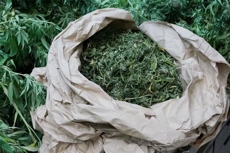 marihuana u vreći