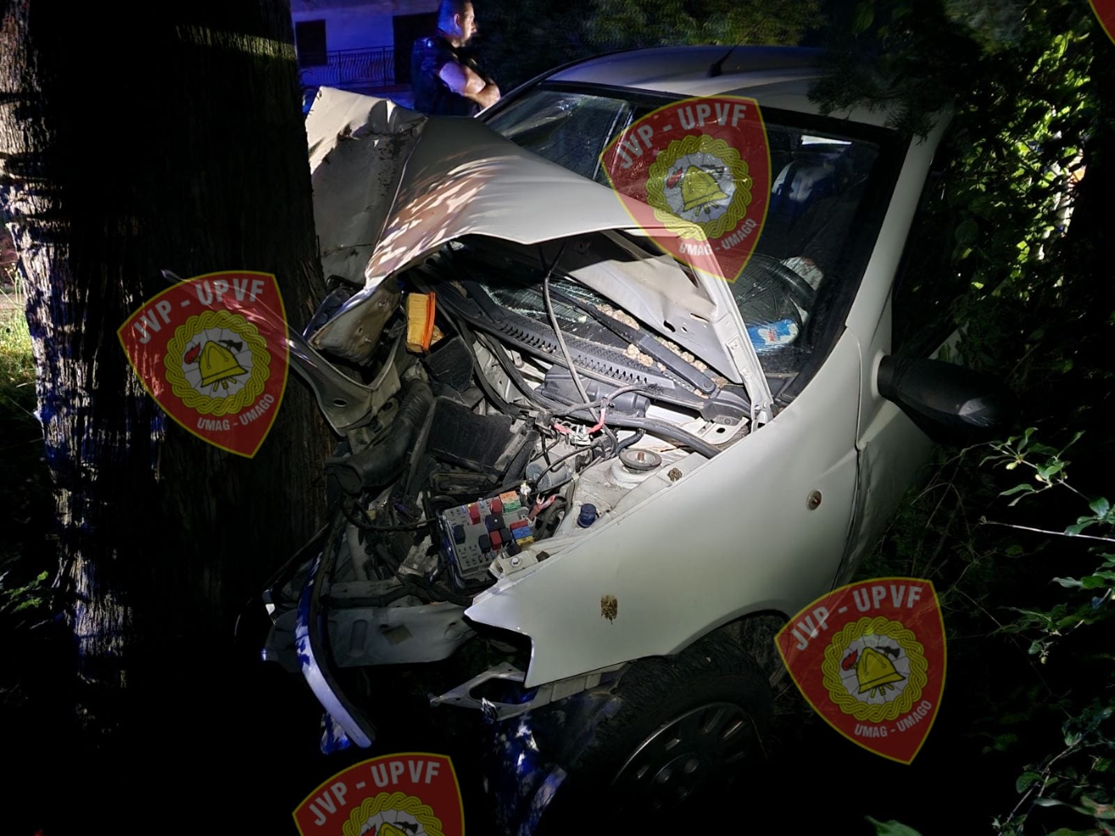 Grožnjan, vozilo udarilo u stablo, prometna nesreća 1