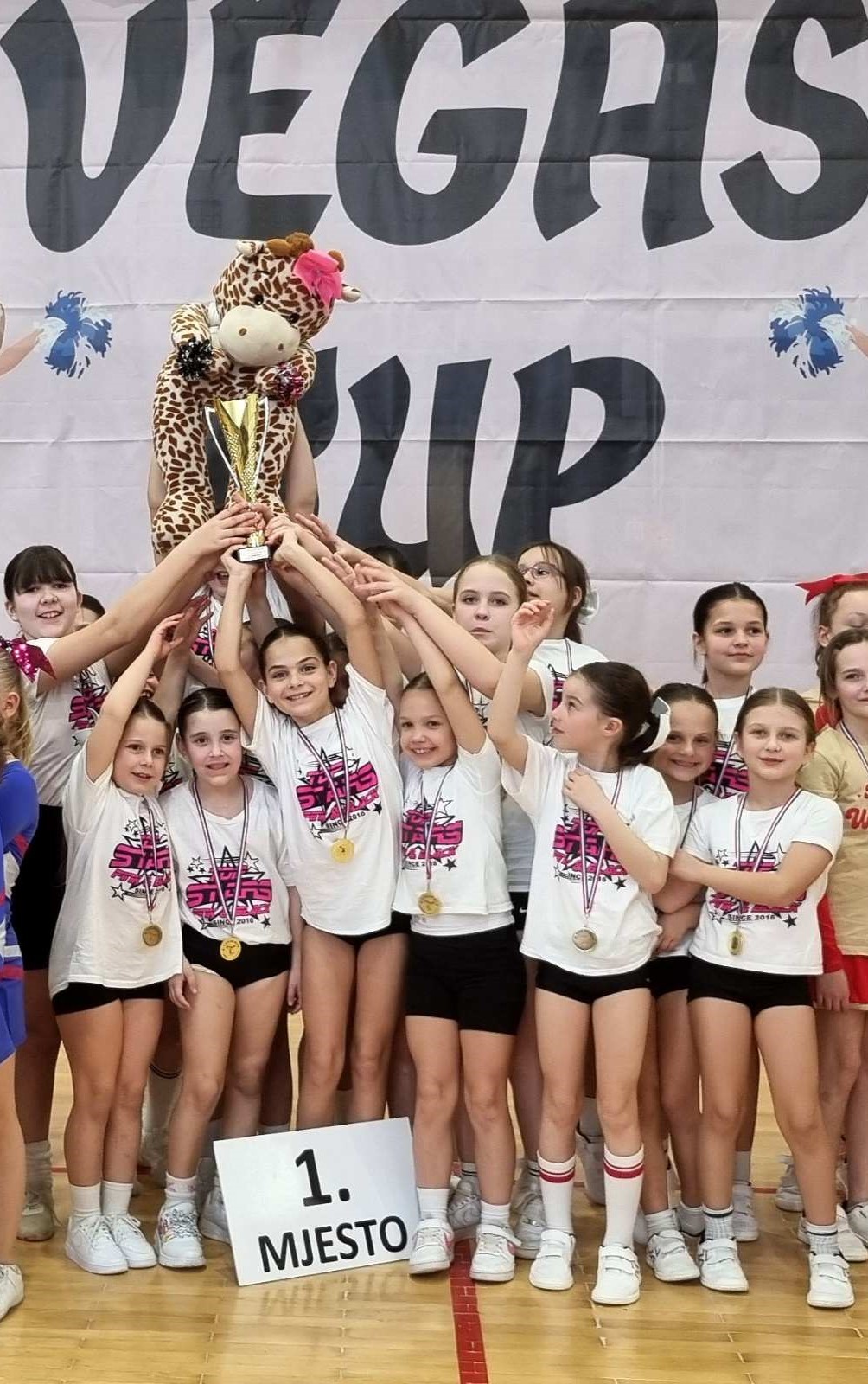 IMG-f340ef93bf600de5bda0cc28fa8c5452-V, Vegas kup, Tenine