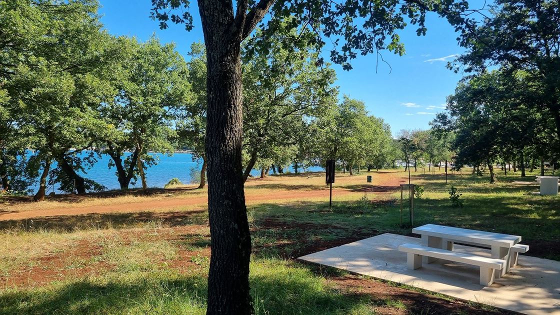 Poreč, stabla, more, opu&scaron;tanje, odmor, priroda