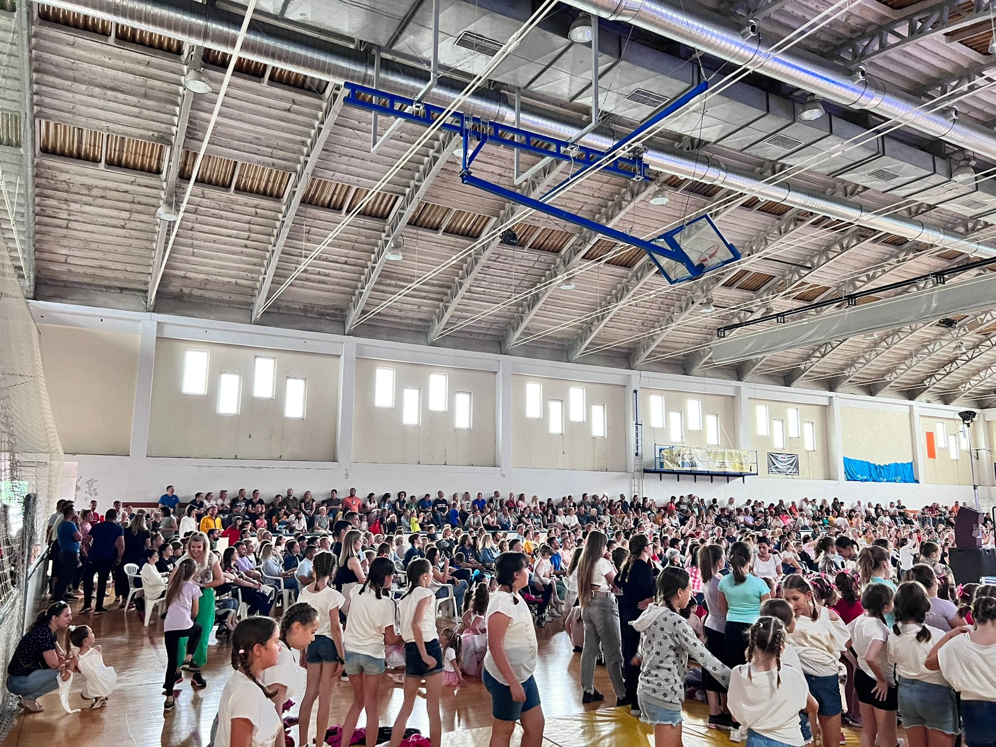 Plesomanija -publika