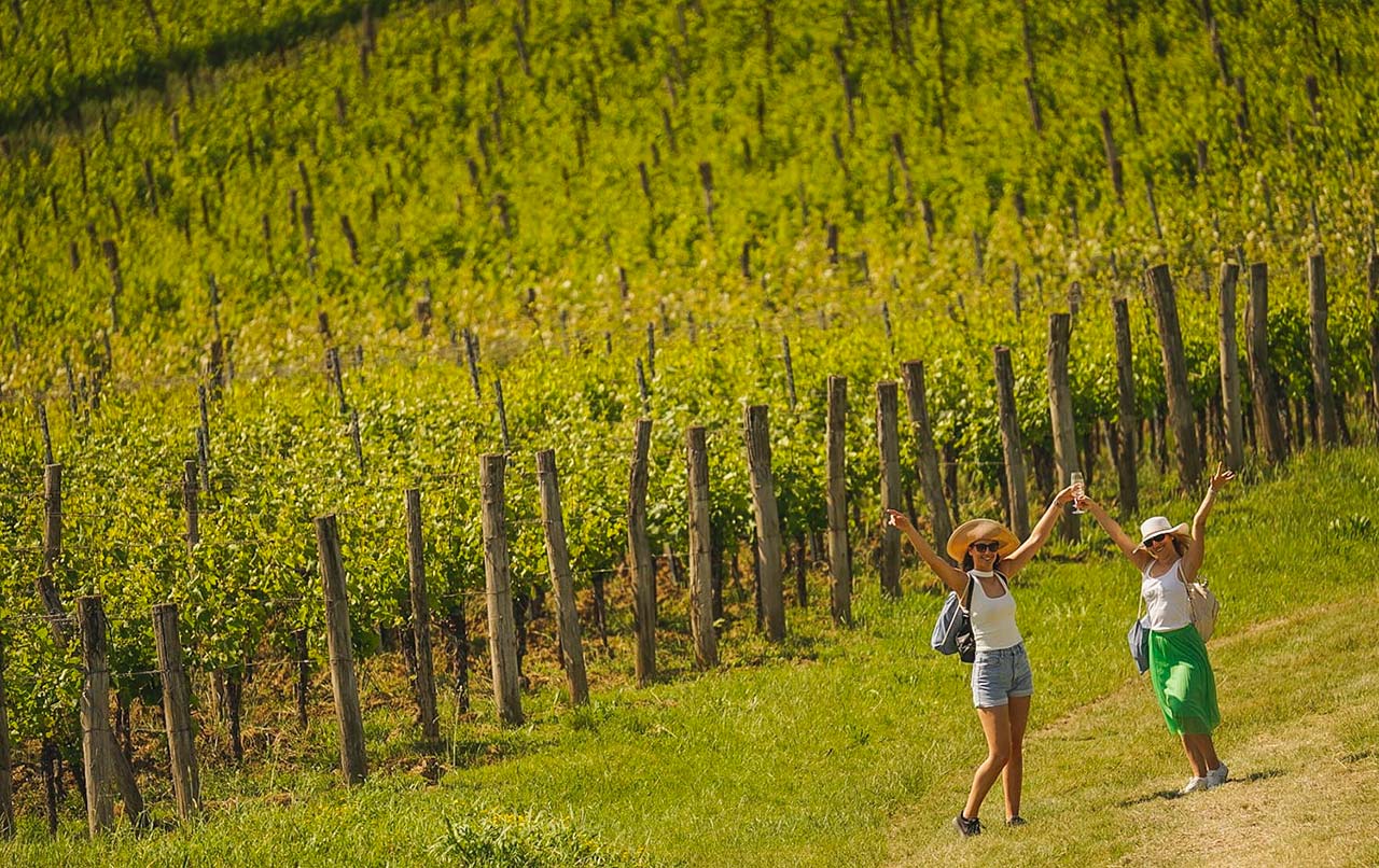 Istria_Wine-Walk-3