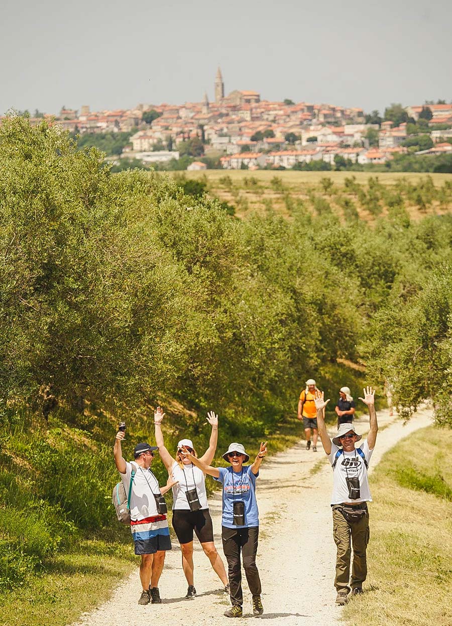 Istria_Wine-Walk-6