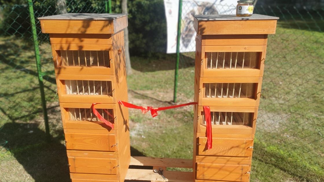 Porečki pčelinjak 2