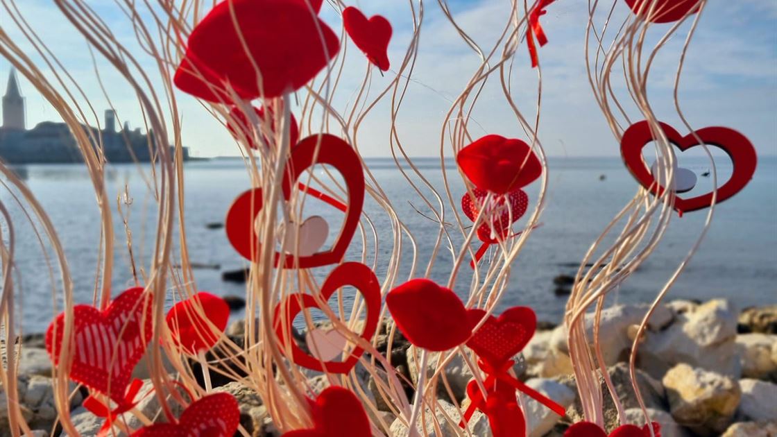 Srce na Pe&scaron;keri 1