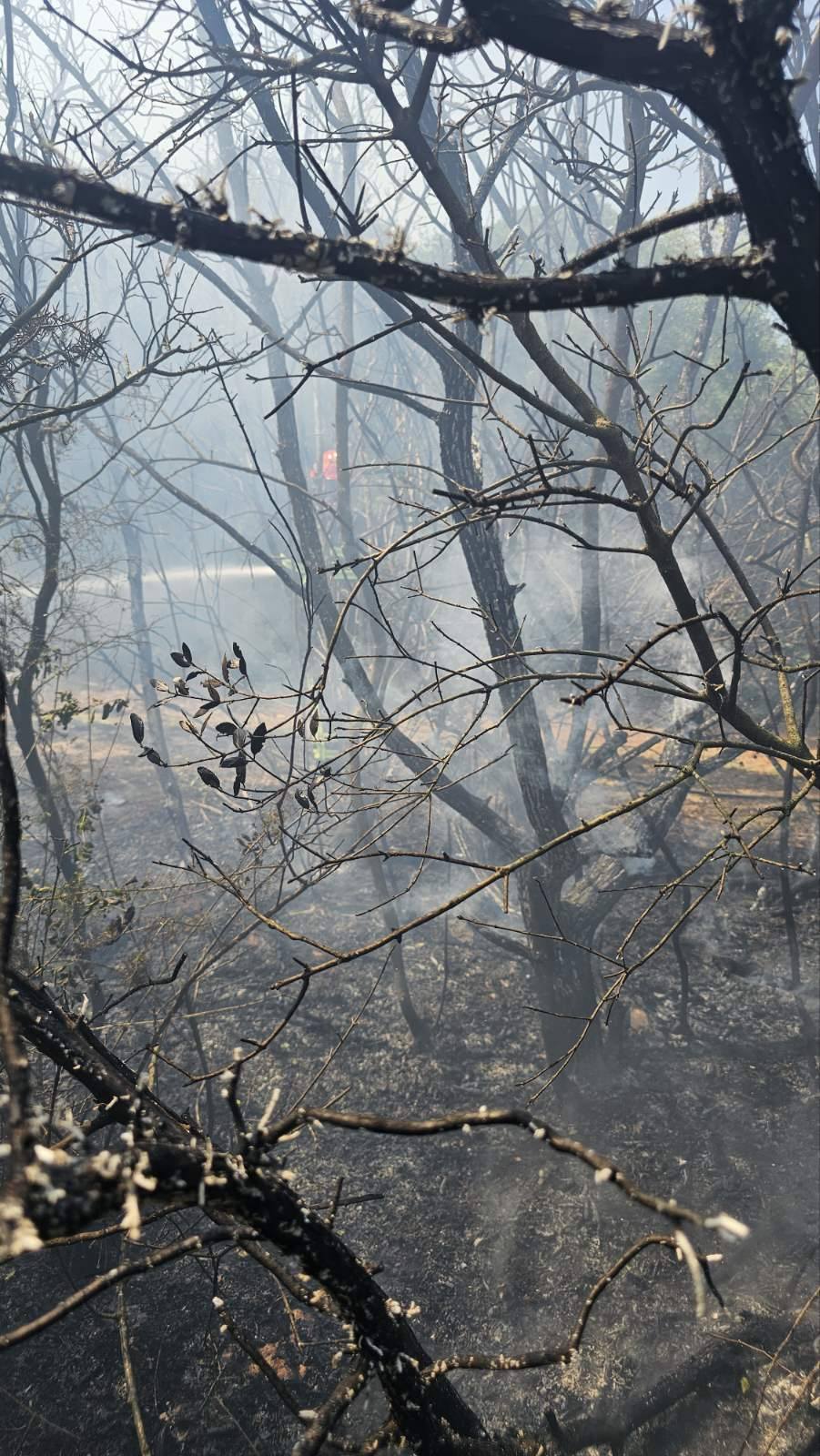 Marčana vatrogasci, vatra, &scaron;uma nakon požara