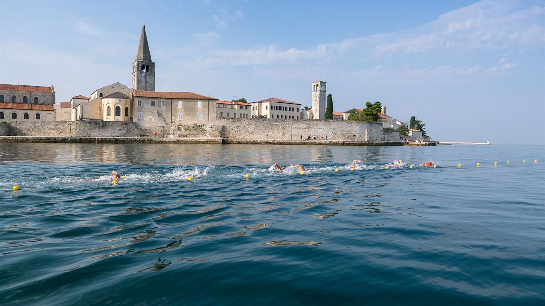 Porečki delfin &ndash; Poreč, more, plivanje