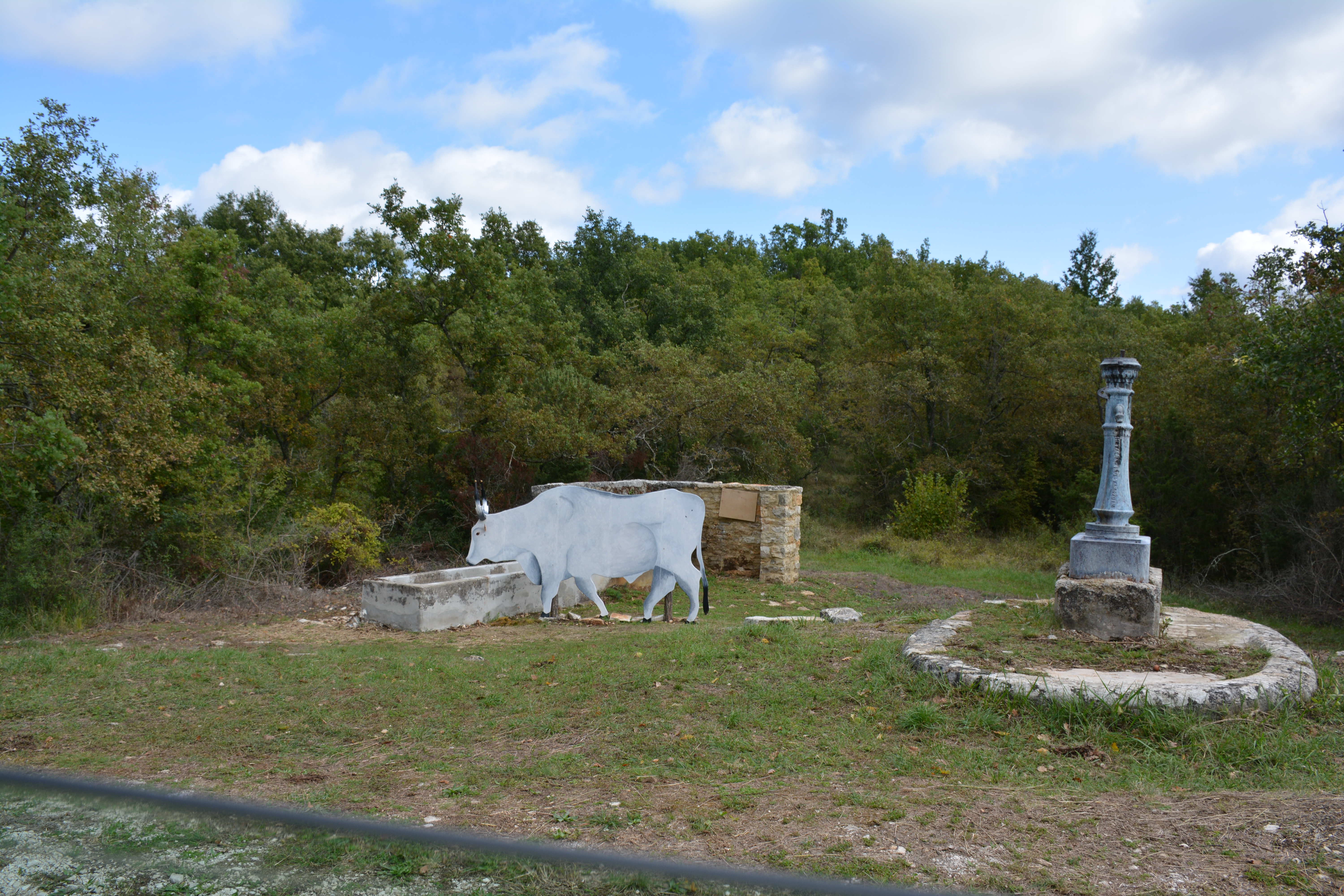 gornja buj&scaron;tina krava