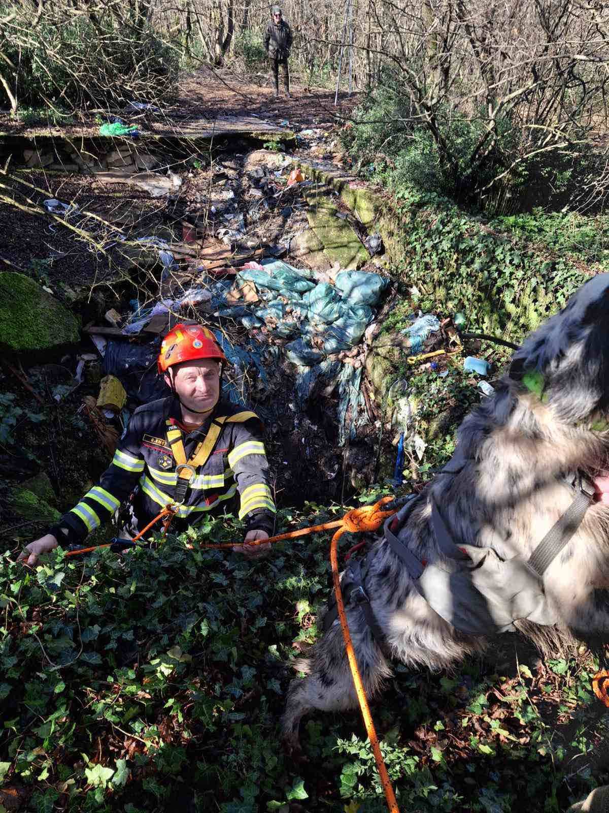 Pas u jami, vatrogasac 634328954_935186719197330_5022489244563022515_n