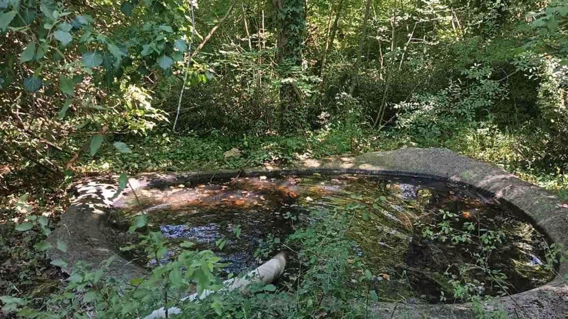 Pojili&scaron;te za životinje u Poreču
