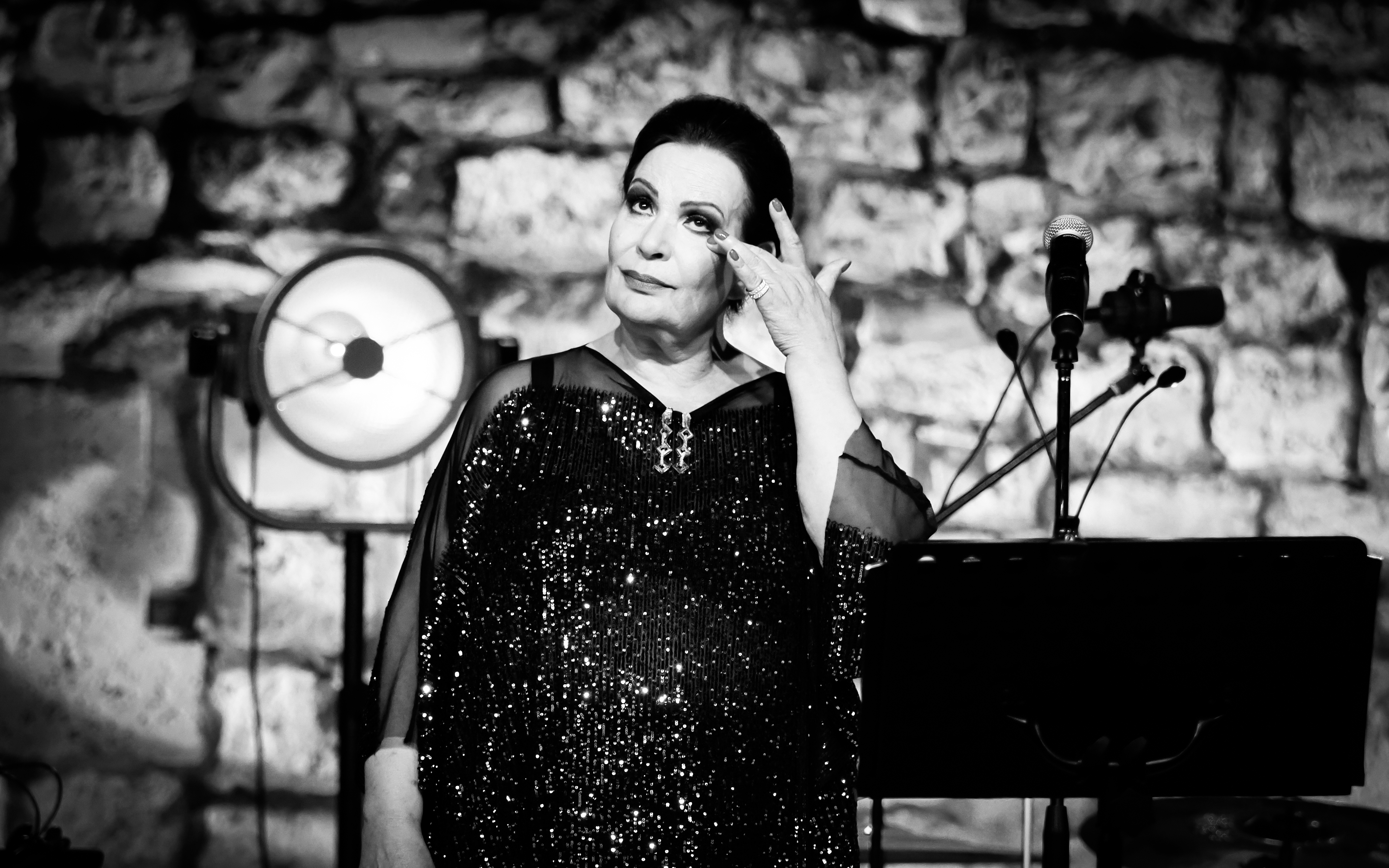 Radojka &Scaron;verko (3)