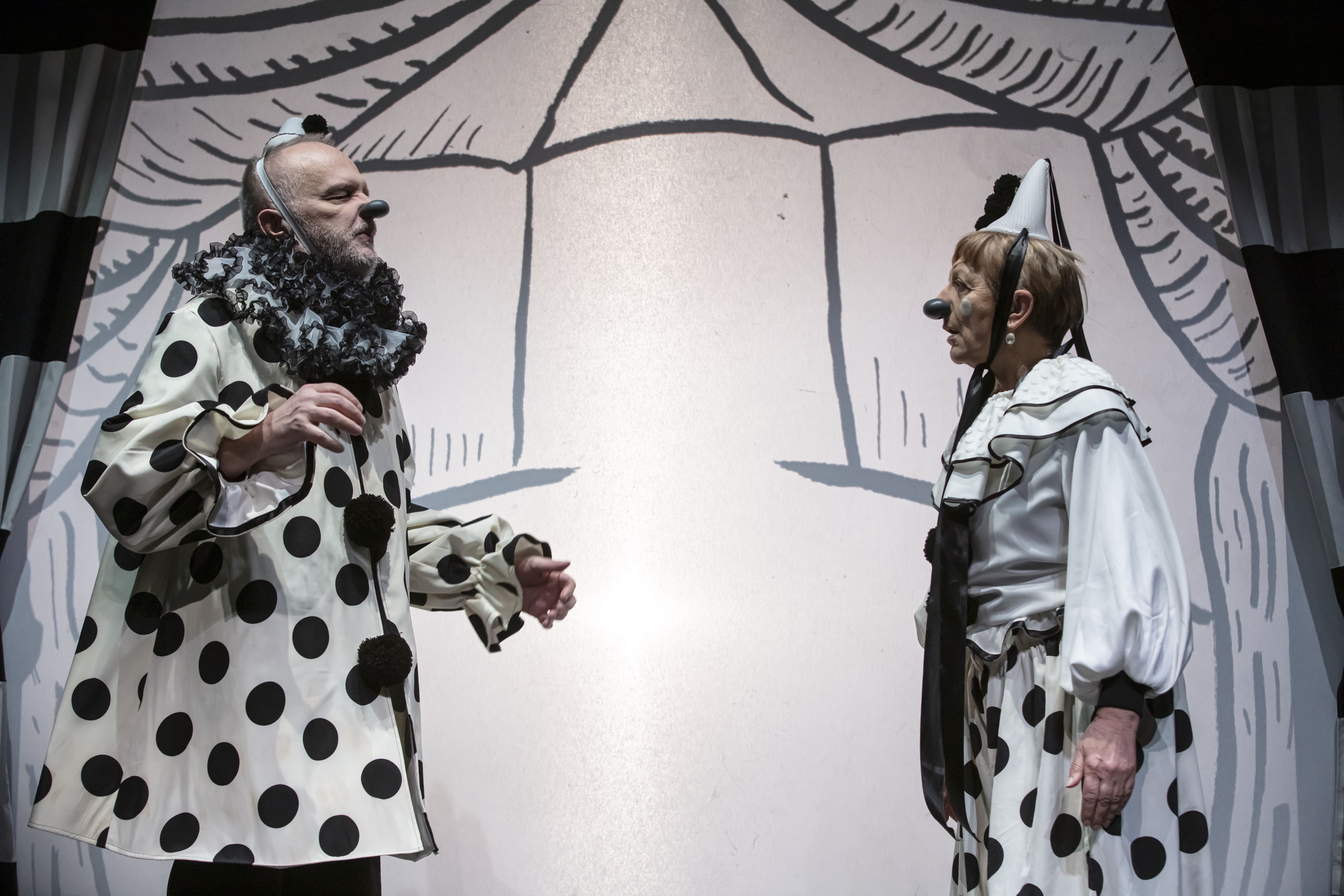 Damir Milo&scaron; Bijeli klaun