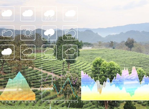 Meteorolo&scaron;ka postaja u Novigradu, metmonik
