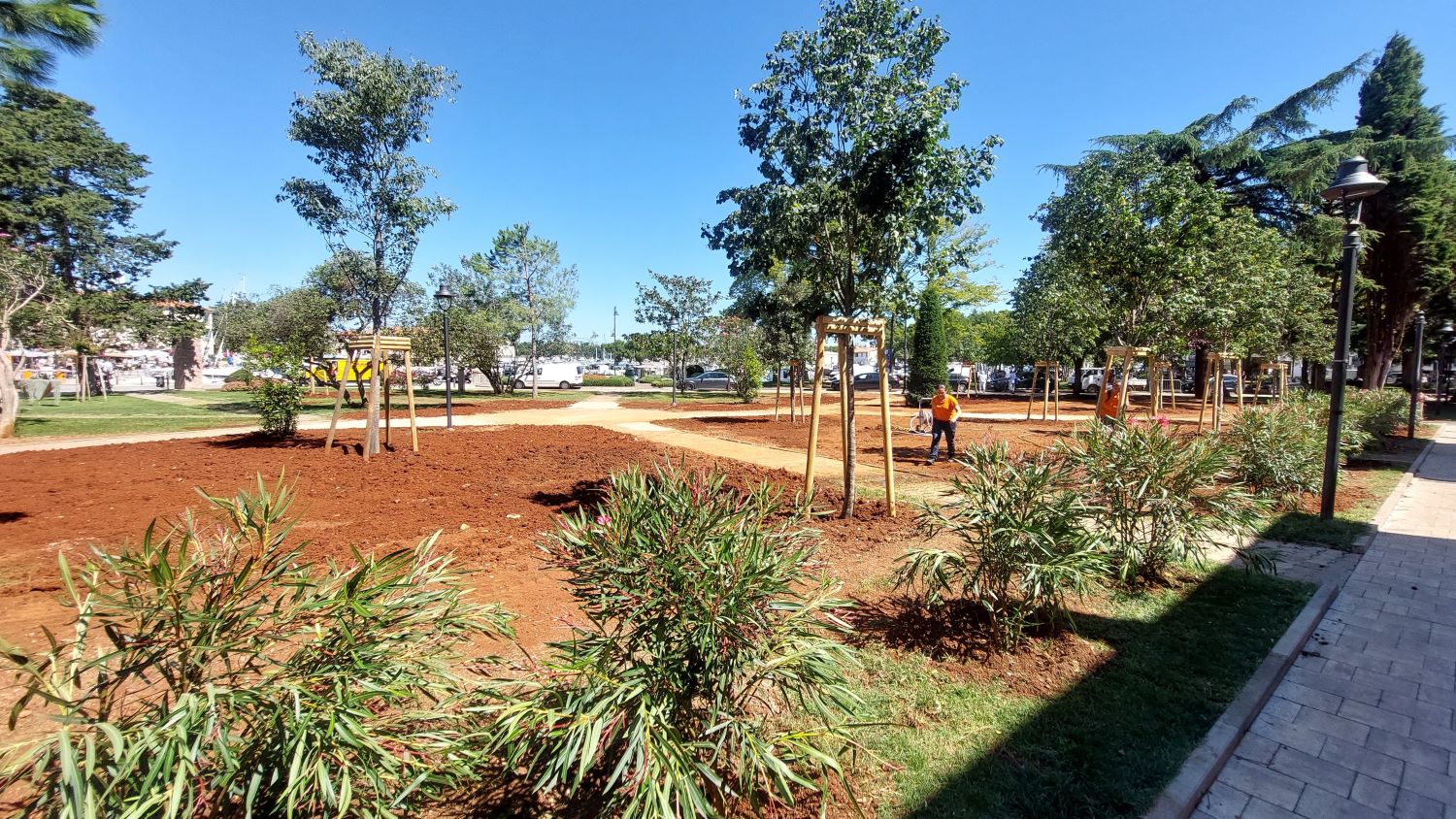 Novigrad, Park Irme Benčić, nova stabla,10-08-2023