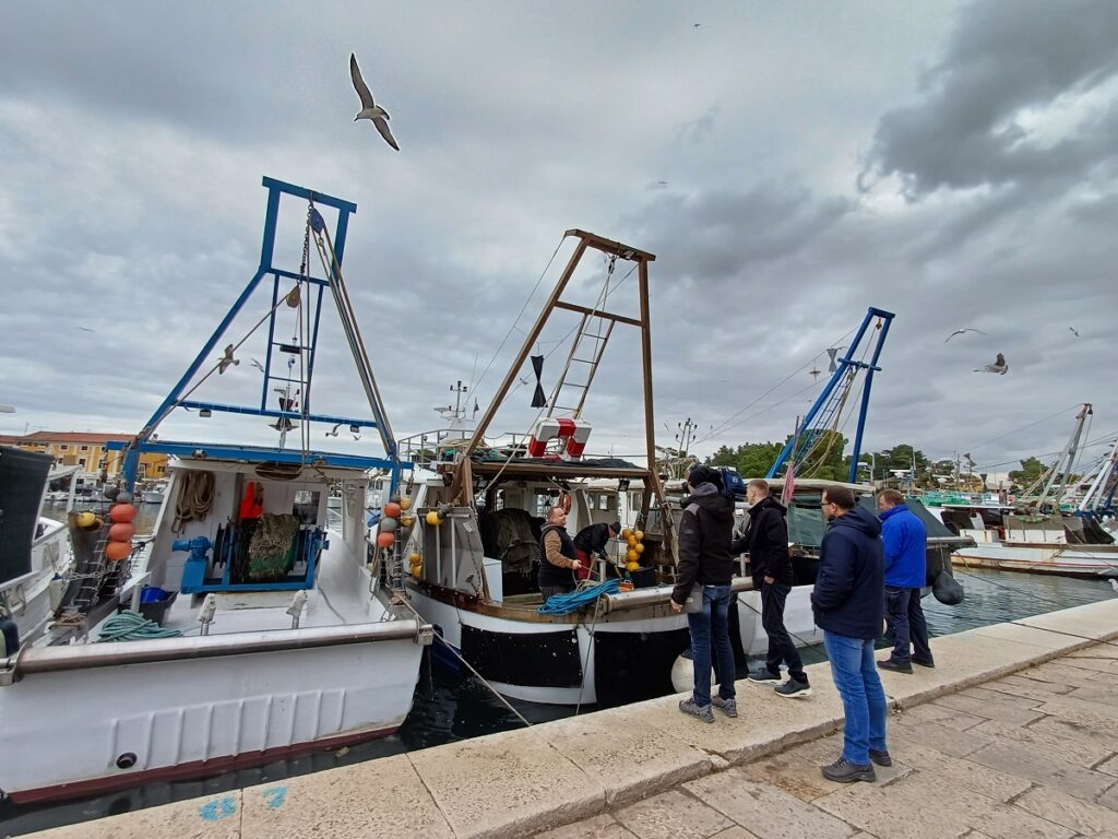 Novigrad, barke, Mandrač hrt-more-2-b-1024x768