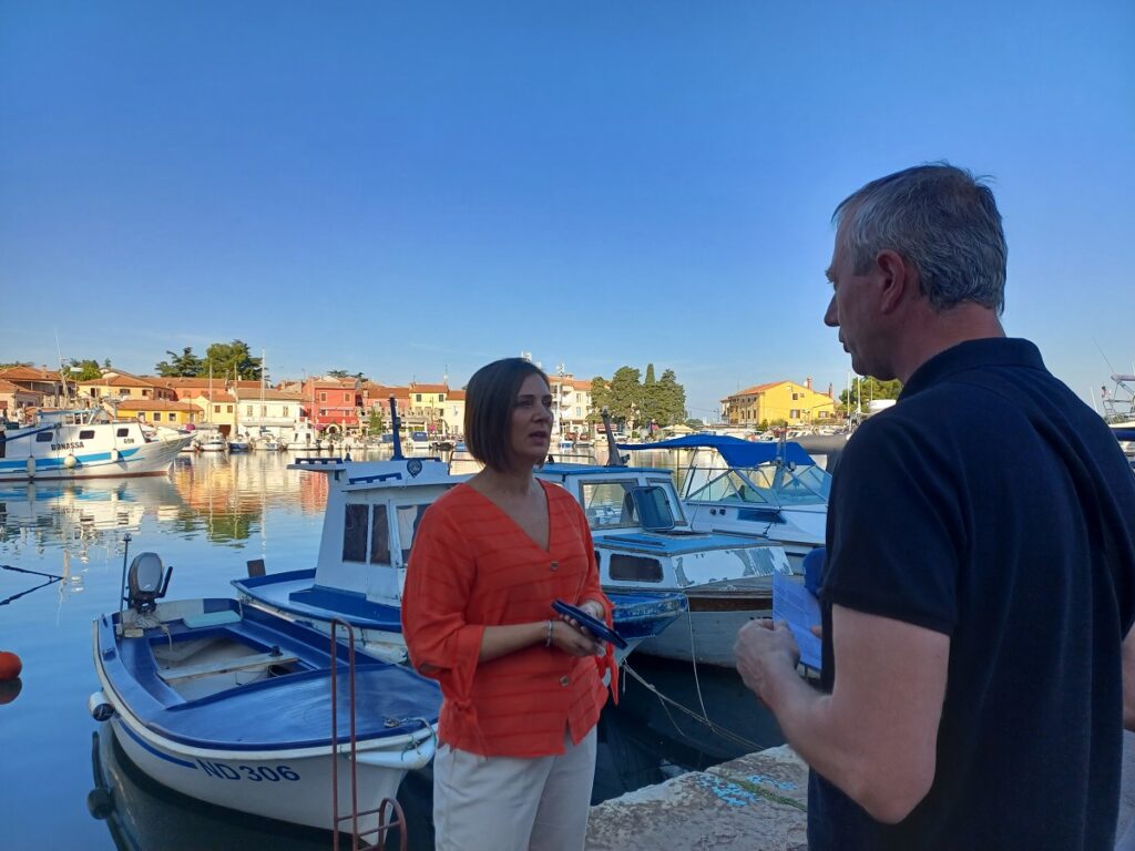 Novigradska kronika -Vesna Ferenac