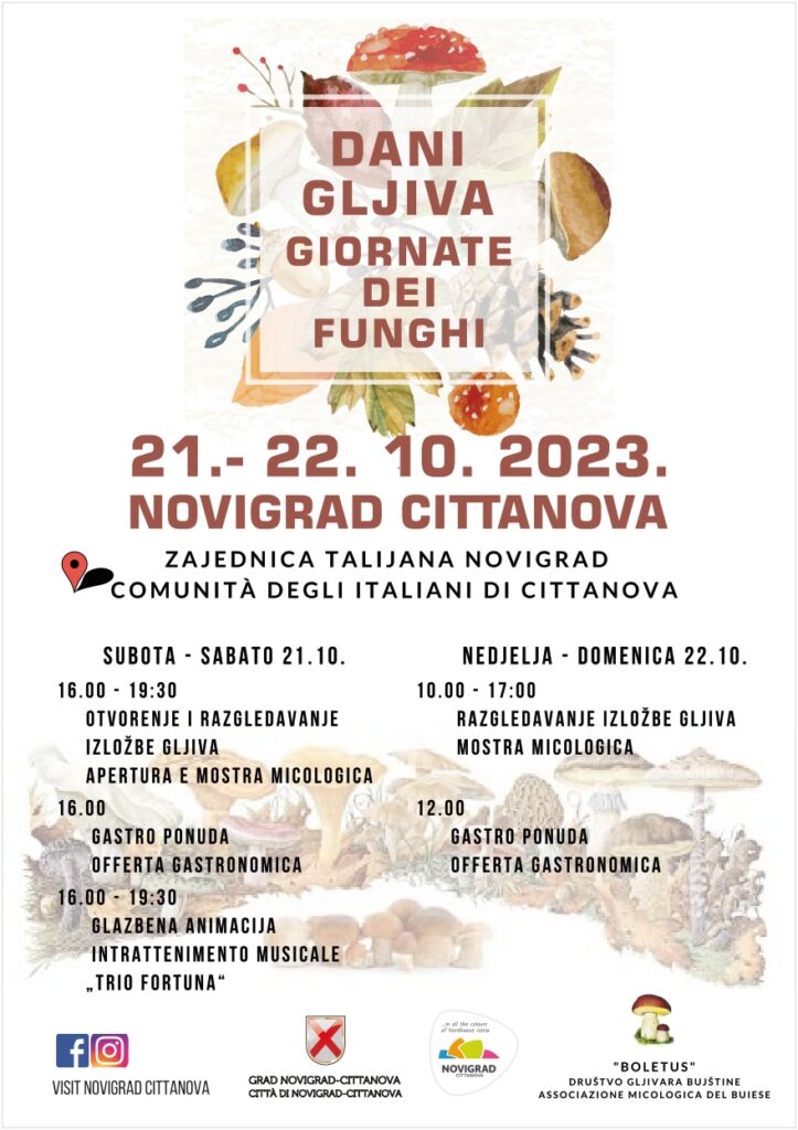 dani-gljiva-723x1024