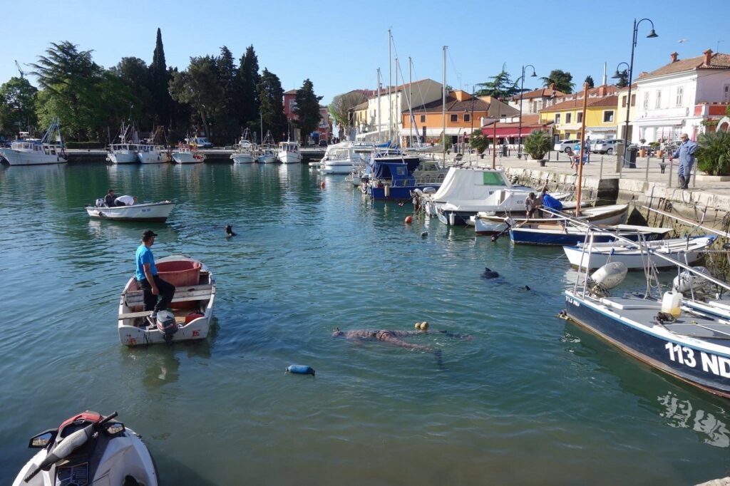 Dan planeta Zemlje Novigrad Eko-akcija_podmorje 2024