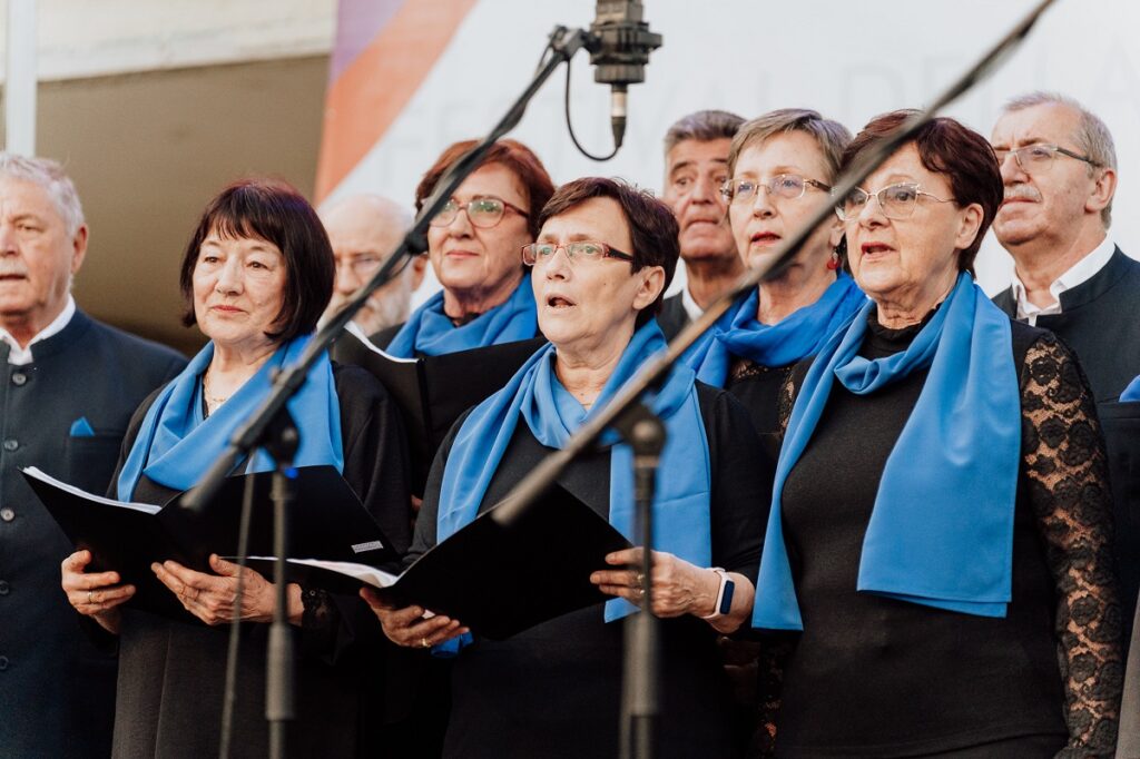Novigrad Festival multikulturalnosti, zbor