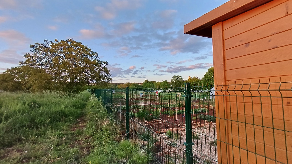 Novigrad gradski vrtovi, polje