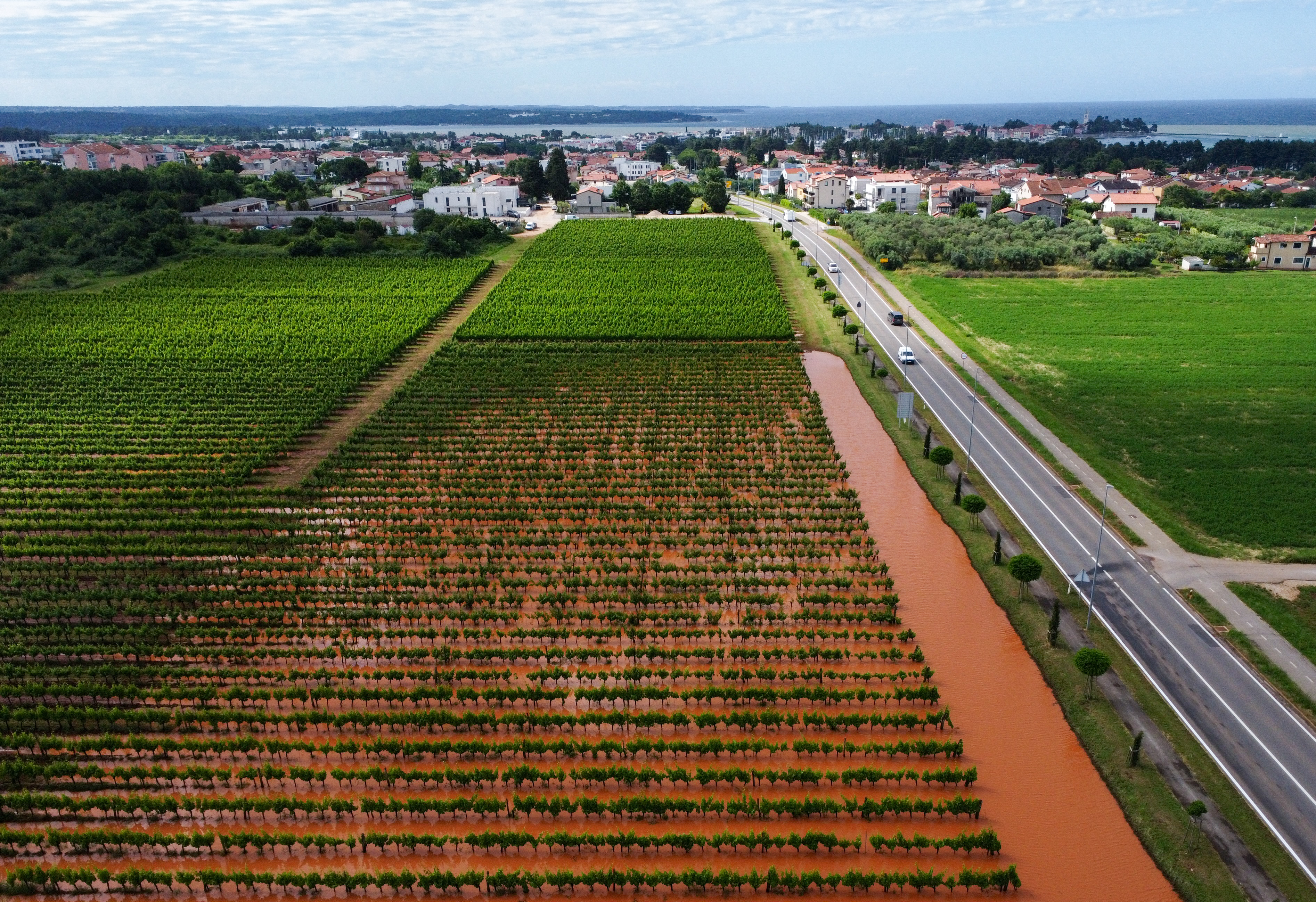 Novigrad nakon poplave 1