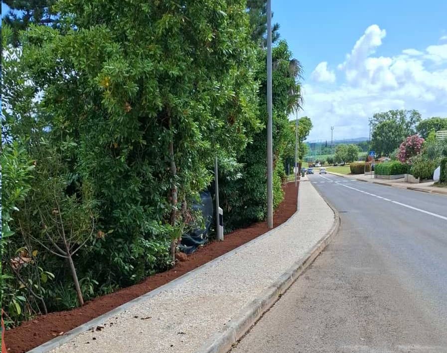 nogostup Dajla, cesta, auti1